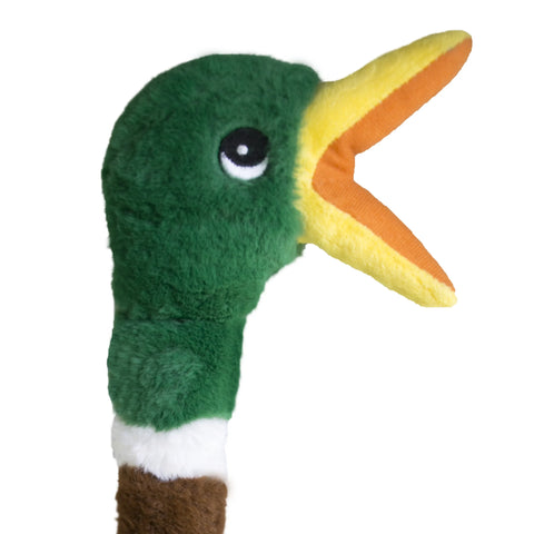 Shakers Honkers Duck