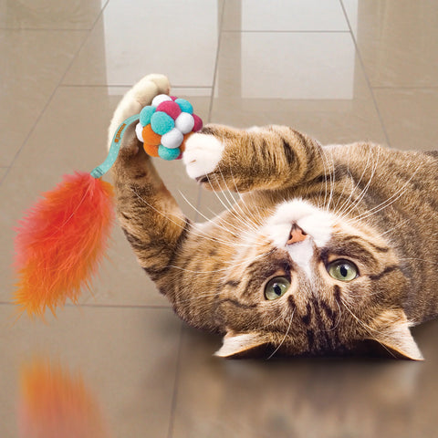 Cat Active Bubble Ball