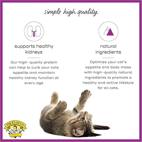 Dr. Elsey's cleanprotein Original Rabbit & Turkey Recipe Wet Cat Food, 5.3oz Cans (Pack of 24)